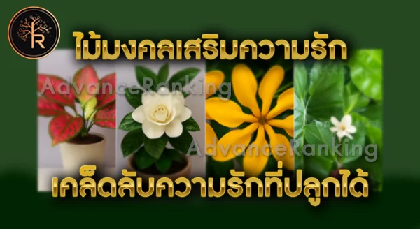 ไม้มงคล เสริมความรัก