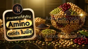 Amino acids ในพืช