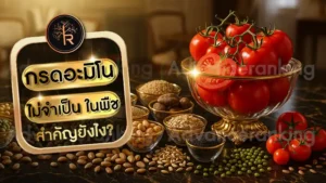 กรดอะมิโนไม่จำเป็น ในพืช