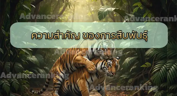 การสืบพันธุ์ ของเสือ