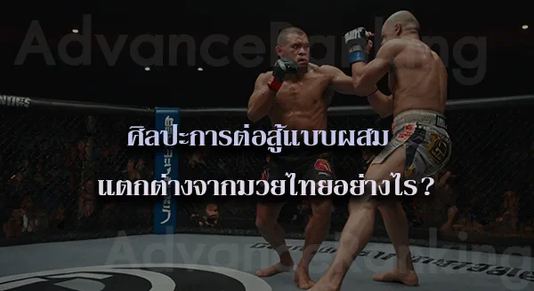 กีฬา MMA คืออะไร