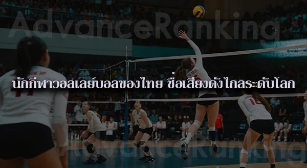 กีฬาวอลเลย์บอล ระดับสากล