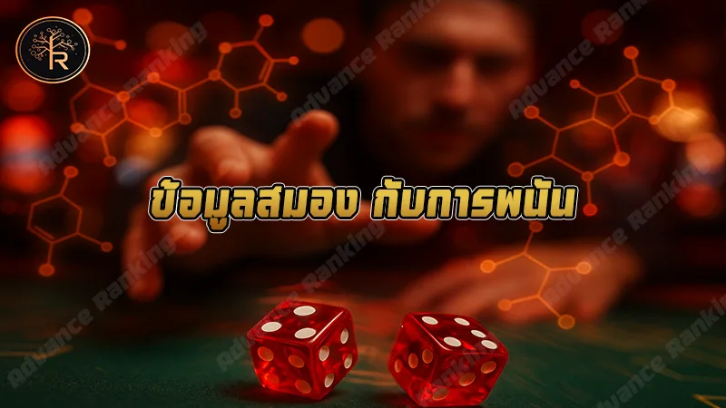 ข้อมูลสมอง กับการพนัน