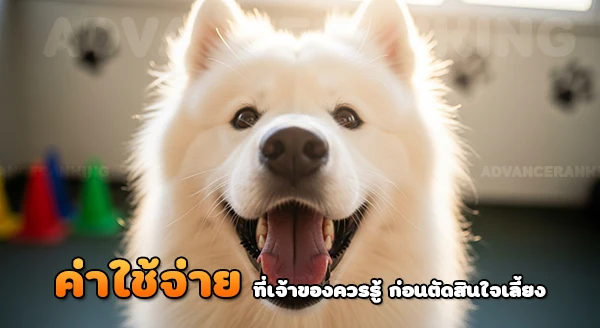 ซามอยด์ เป็นหมาราคาแพงไหม