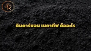 ดินคาร์บอน เนกาทีฟ คืออะไร