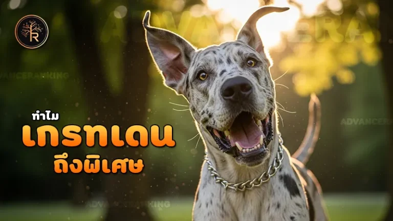 ทำไมเกรทเดน ถึงพิเศษ