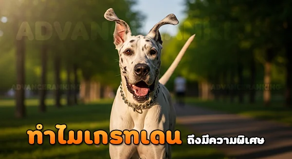 ทำไมเกรทเดน ถึงพิเศษ