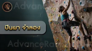 ปีนผา จำลอง