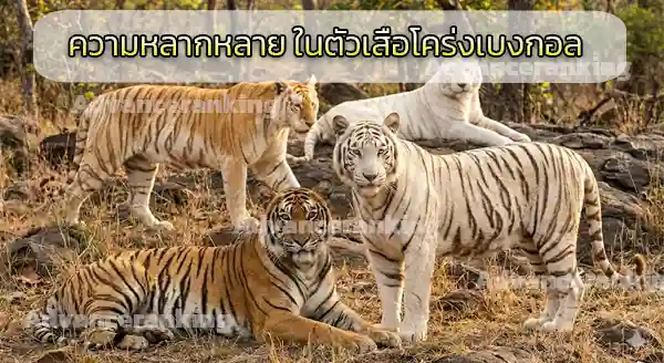 พันธุ์เสือ พบมากสุด