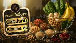 พืชอะไรที่มี Alanine สูง