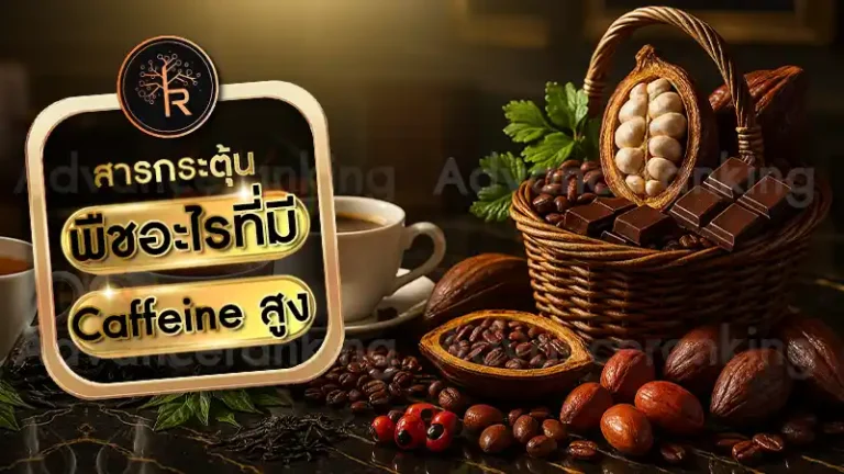 พืชอะไรที่มี Caffeine สูง