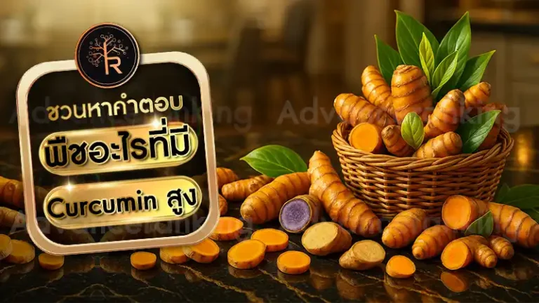 พืชอะไรที่มี Curcumin สูง