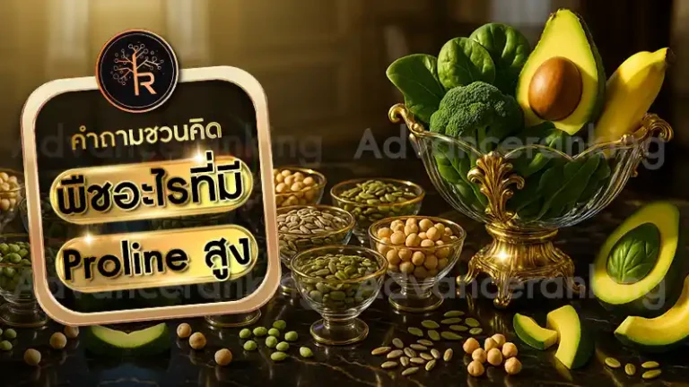 พืชอะไรที่มี Proline สูง