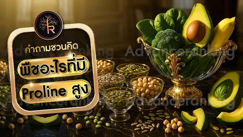พืชอะไรที่มี Proline สูง