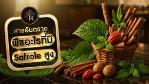 พืชอะไรที่มี Safrole สูง