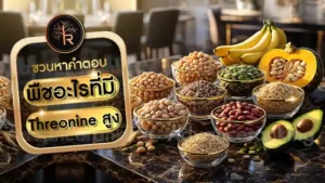 พืชอะไรที่มี Threonine สูง