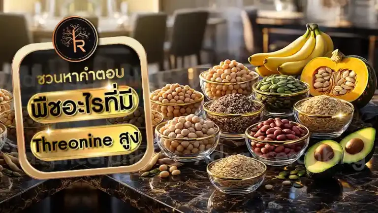 พืชอะไรที่มี Threonine สูง
