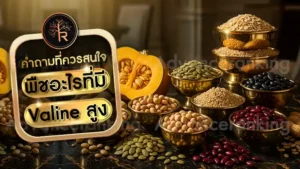 พืชอะไรที่มี Valine สูง
