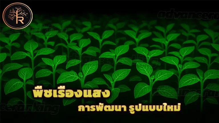 พืชเรืองแสง การพัฒนา รูปแบบใหม่