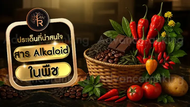 สาร Alkaloid ในพืช