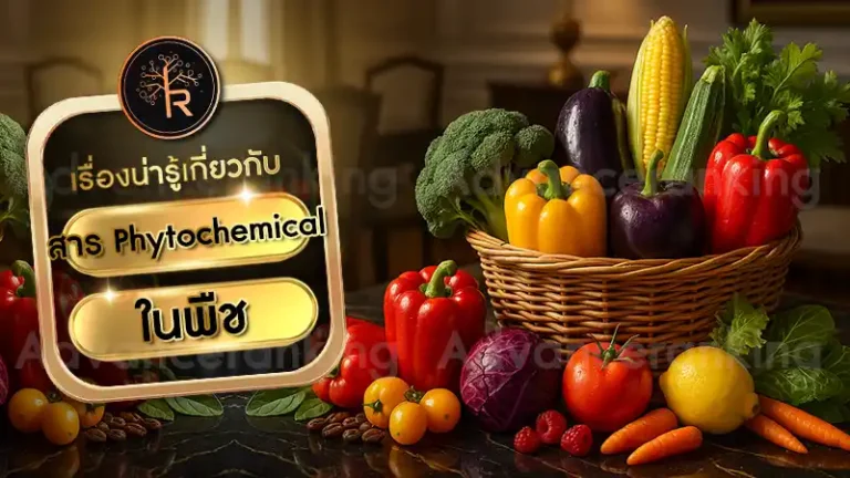 สาร Phytochemical ในพืช