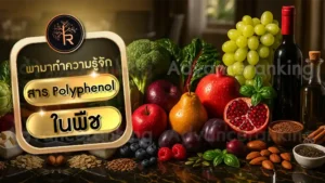 สาร Polyphenol ในพืช