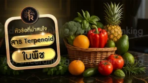 สาร Terpenoid ในพืช
