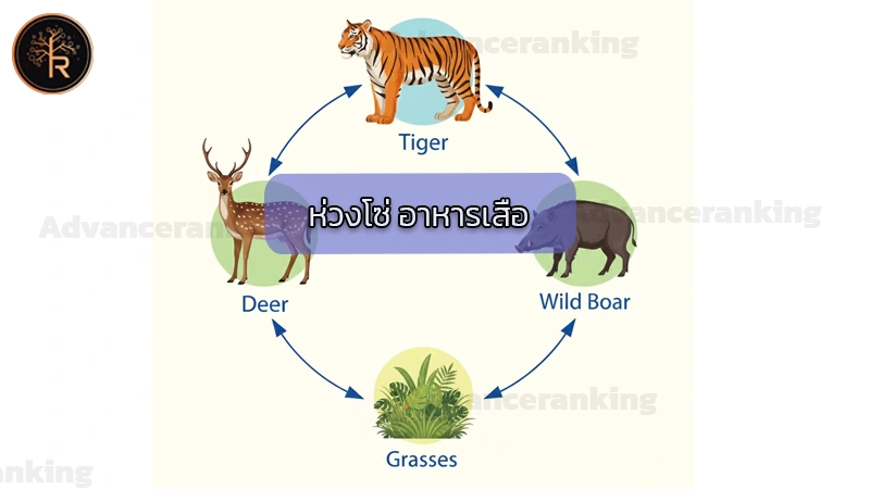 ห่วงโซ่ อาหารเสือ