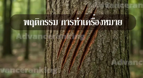 อาณาเขต ของเสือ