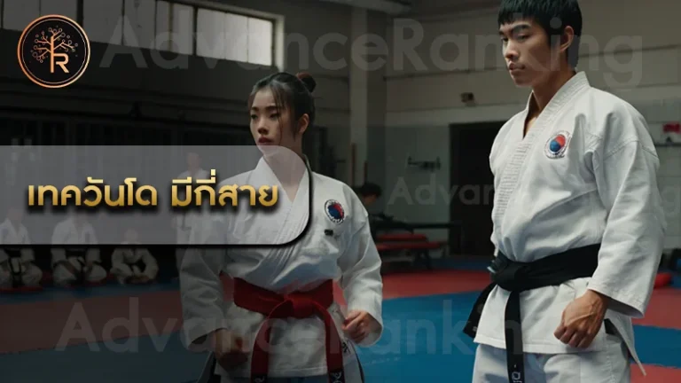 เทควันโด มีกี่สาย