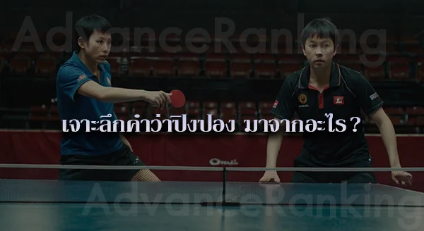 เทเบิลเทนนิส อุปกรณ์