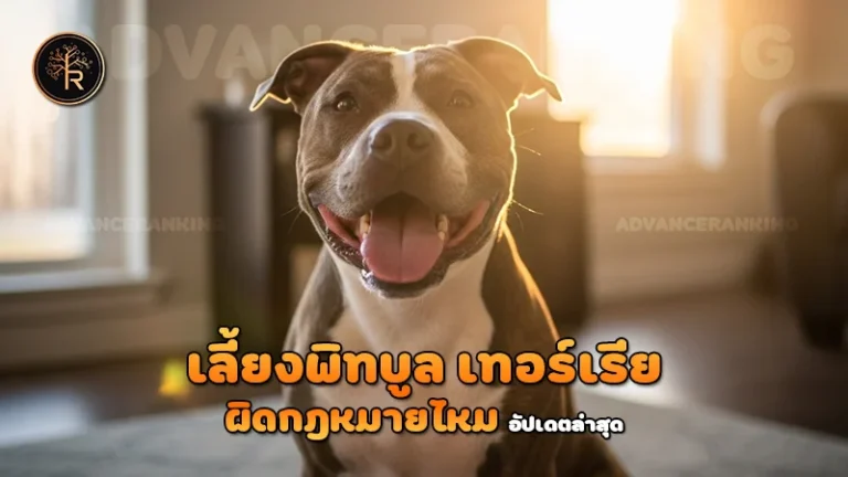 เลี้ยงพิทบูล เทอร์เรีย ผิดกฎหมายไหม