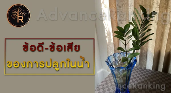 กวักมรกต ปลูกในน้ำได้ไหม