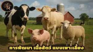 การพัฒนา เนื้อสัตว์ แบบเพาะเลี้ยง