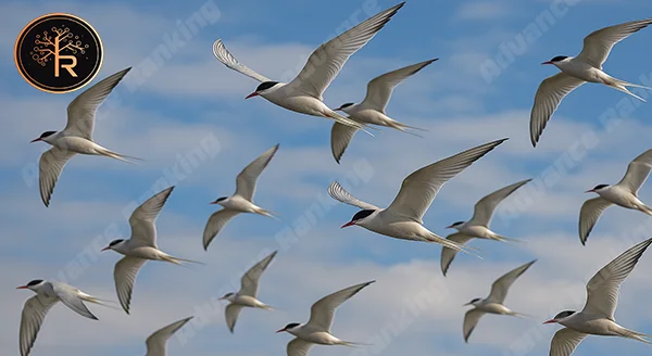 การอพยพ สัตว์เขตหนาว