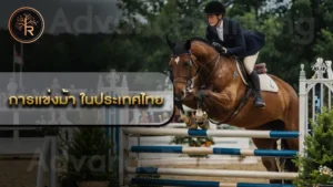 การแข่งม้า ในประเทศไทย