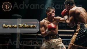 กีฬามวย มีกี่ประเภท