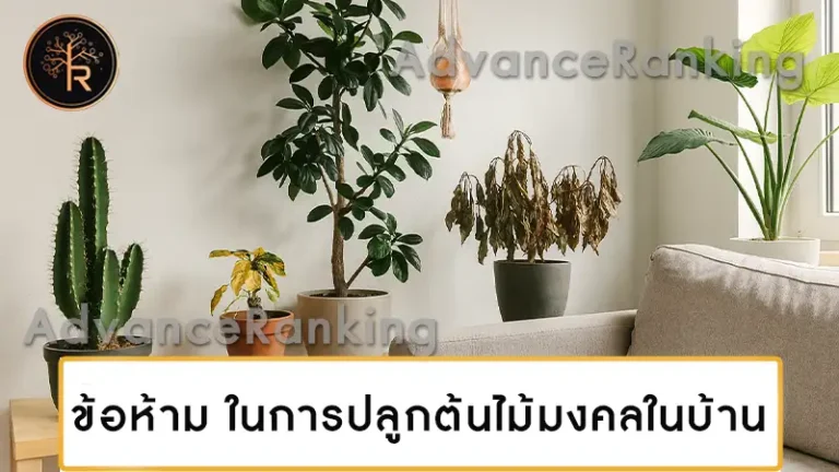ข้อห้าม ในการปลูกต้นไม้มงคลในบ้าน