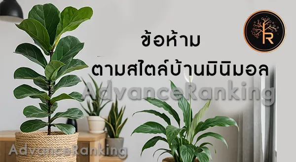 ข้อห้าม ในการปลูกต้นไม้มงคลในบ้าน