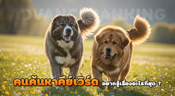 คอเคเซียนเชพเพิร์ด vs ทิเบตัน