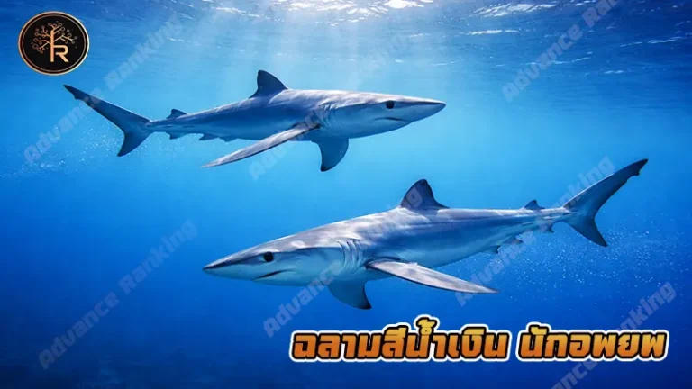 ฉลามสีน้ำเงิน นักอพยพ