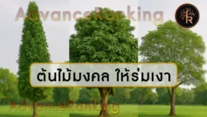 ต้นไม้มงคล ให้ร่มเงา