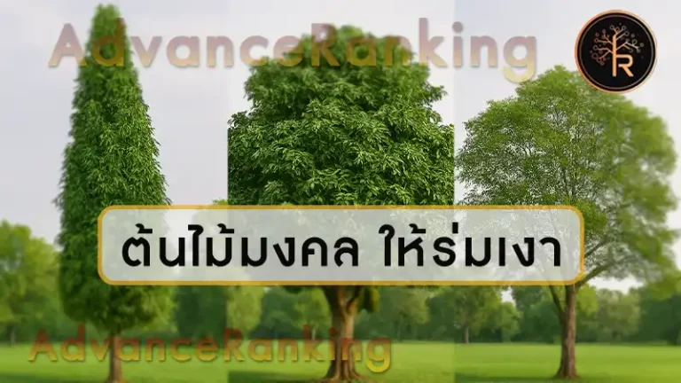 ต้นไม้มงคล ให้ร่มเงา