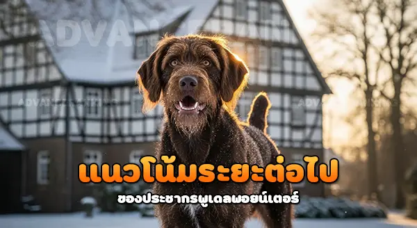 ประชากร พูเดลพอยน์เตอร์ ล่าสุด