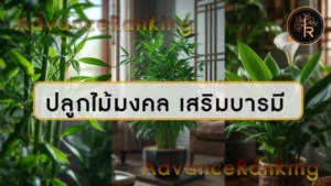 ปลูกไม้มงคล เสริมบารมี