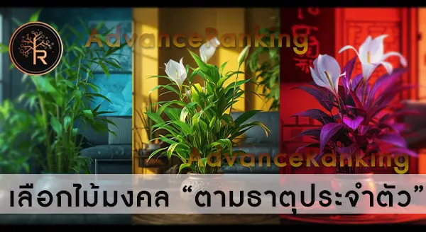 ปลูกไม้มงคล เสริมบารมี