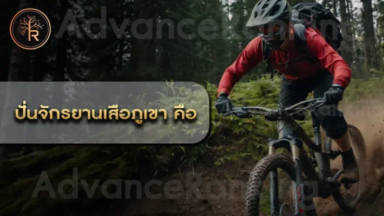 ปั่นจักรยานเสือภูเขา คือ