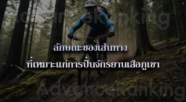 ปั่นจักรยานเสือภูเขา คือ