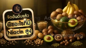พืชอะไรที่มี Niacin สูง