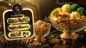 พืชอะไรที่มี Pantothenic acid สูง